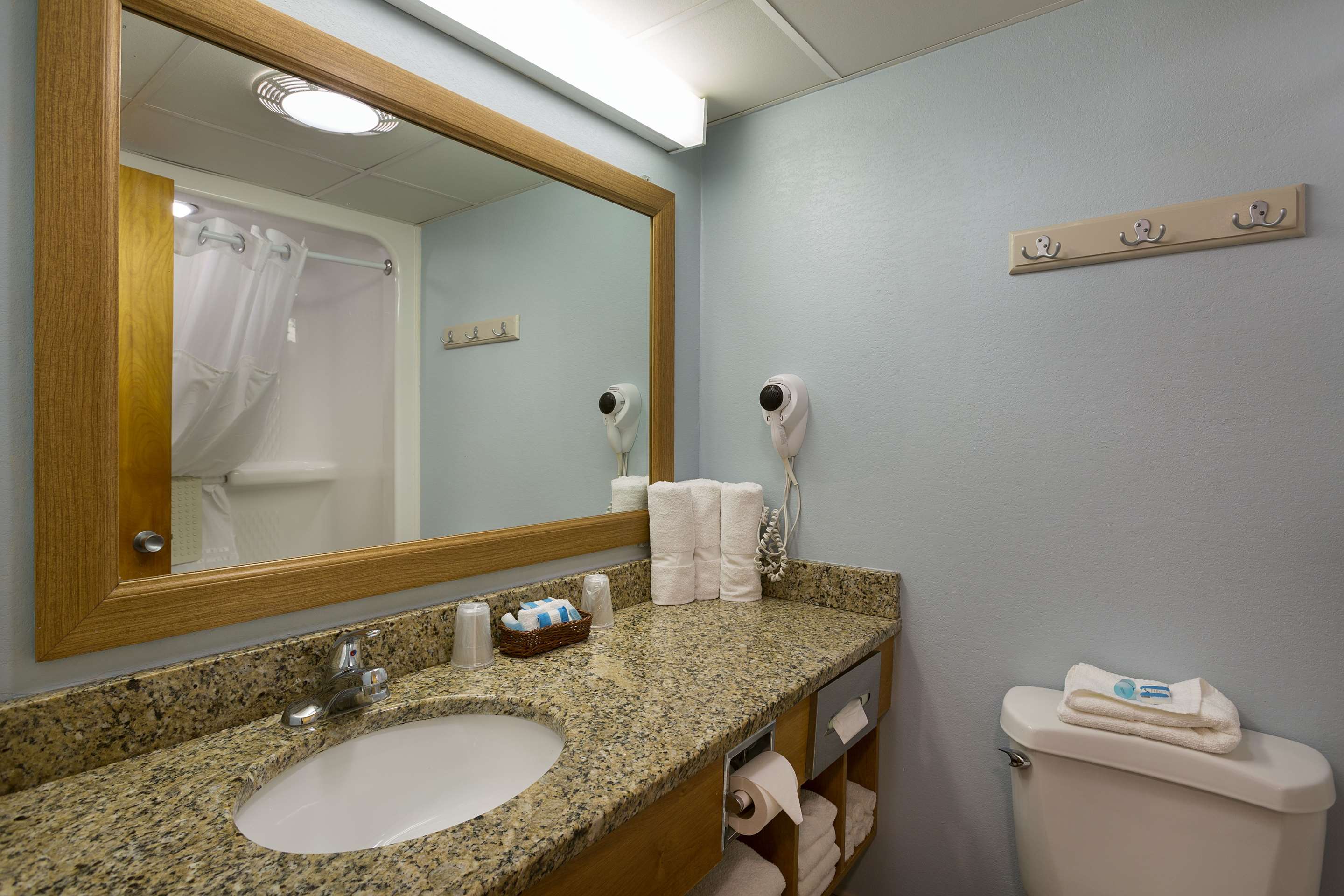 无障碍套房，大床，行动无障碍，淋浴，大床梳化床，部分海景，带全套厨房，无烟