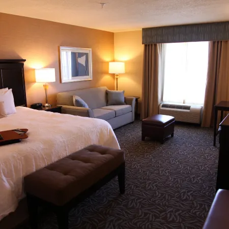 Hampton Inn & Suites by Hilton Carlsbad Отели в г. Эдди