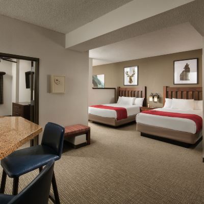 Majestic Bear Suite-Water Park Included Great Wolf Lodge Williamsburg Promo Code