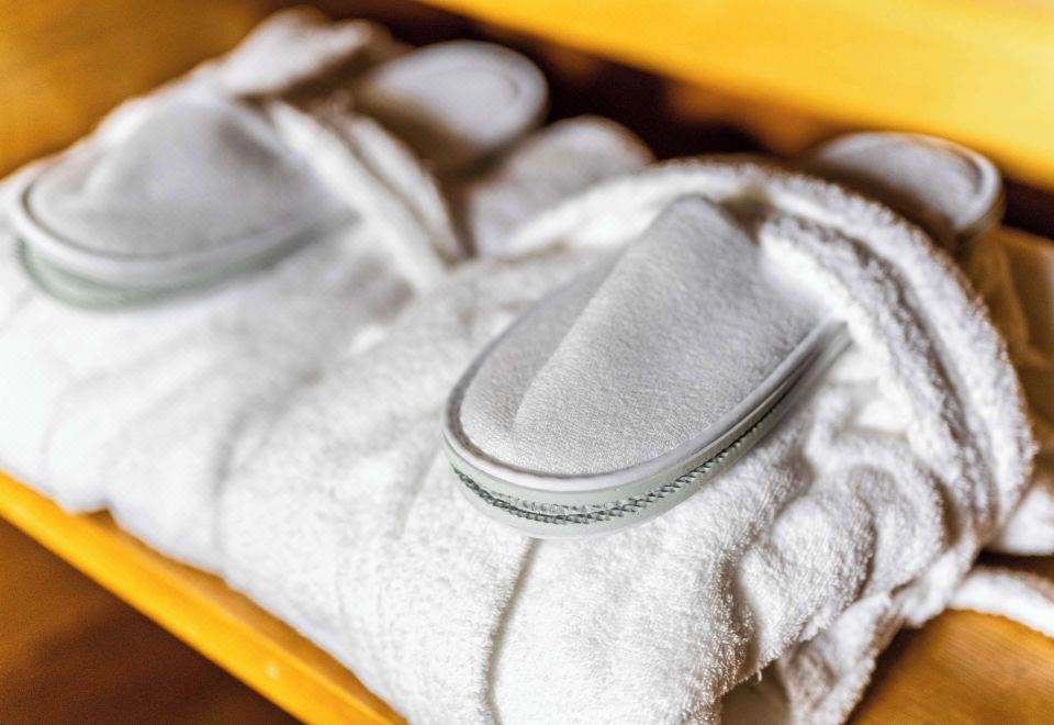 贝尔特普通套房