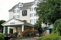 D. Hotel Suites & Spa Hoteles en 