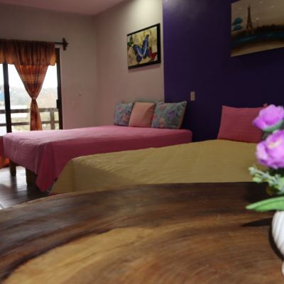 Standard Room Playa Sayulita Promo Code
