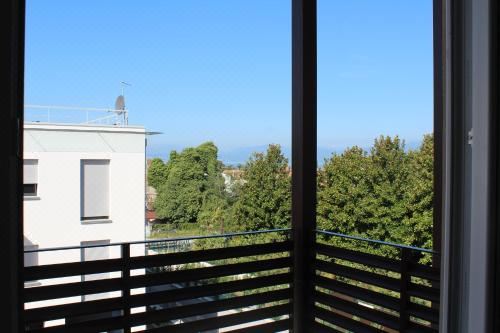 高级一卧室公寓