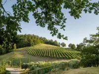 Orte Villa for 8 with Parking Hotels in Orte