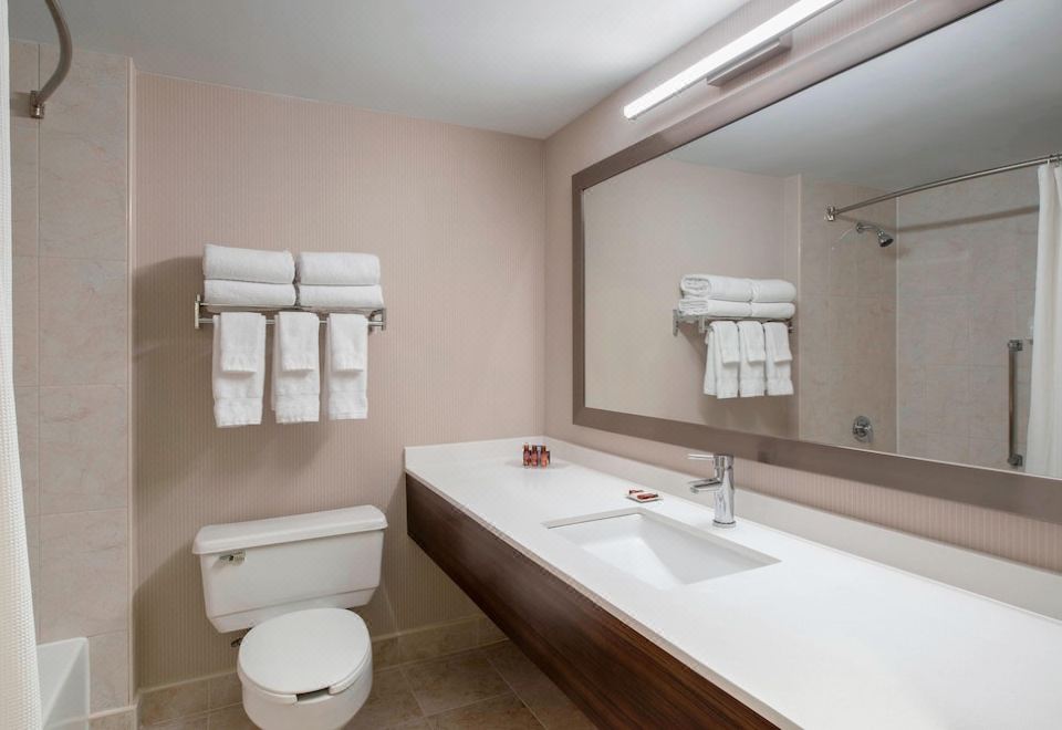 大床間 - 帶沙發床 - 無障礙通道