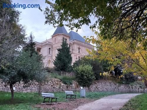 带园景一室公寓