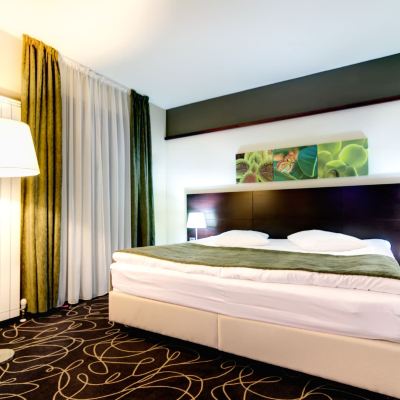 Executive King Room Hotel Orizont Promo Code