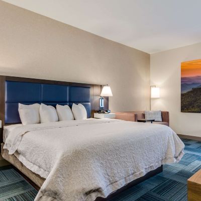 King Room-Hearing Accessible-Non-Smoking Hampton Inn Johnson City Promo Code
