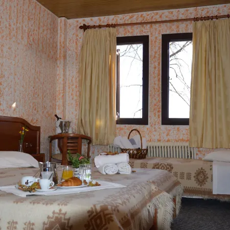 Hotel Hani Zisi