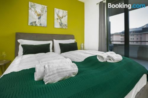 一室房（带阳台）