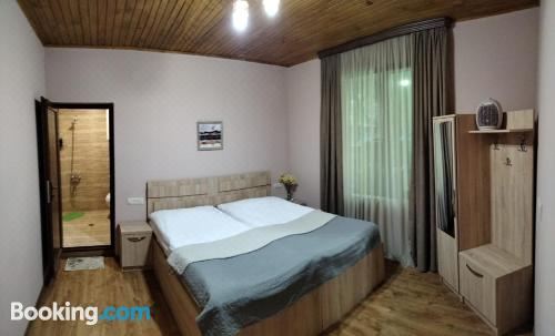 豪华双人或双床房