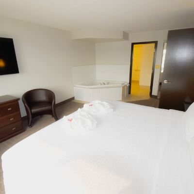Executive Suite, 1 King Bed with Sofa Bed, Jetted Tub