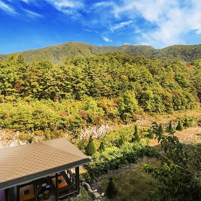 6. Zelkova 단양 단양뜰 펜션 쿠폰