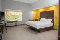 Tru by Hilton Farmville Hotels in 
