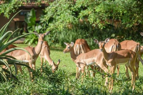 公寓 - 地面楼层
