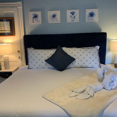 Luxury King Suite With Balcony Peace & Plenty Inn Bed and Breakfast Downtown St Augustine Promo Code