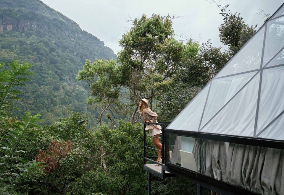 特级村舍， 阳台