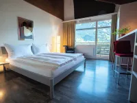 Hotel des Alpes Hotels in Flims