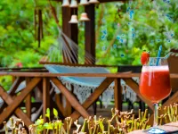 Hotel Rancho Constanza & Cabañas de la Montaña Hotels in Constanza
