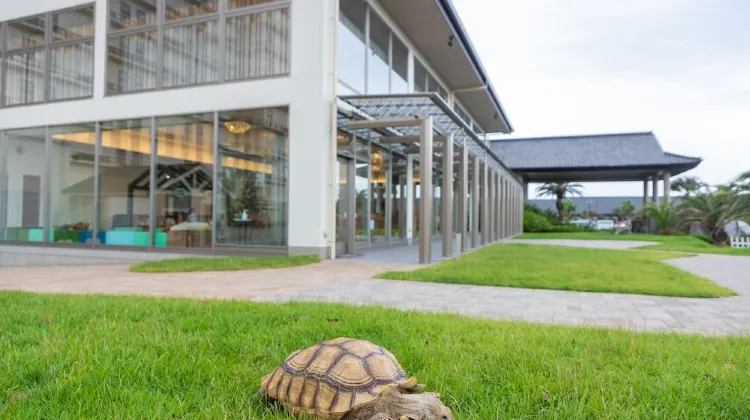 龍宮城スパホテル三日月 外観