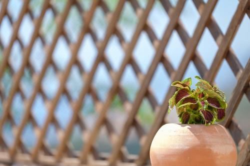 泰盖特两卧室别墅