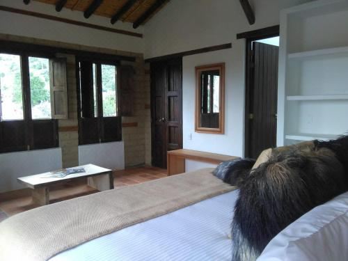 豪华特大床套房