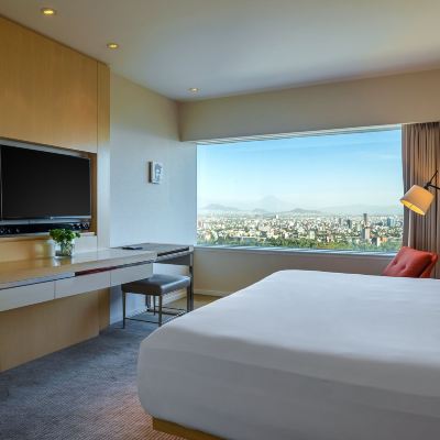 Regency King Suite