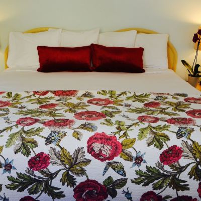 Standard Apartment, 1 King Bed with Sofa Bed, Pool View Sea Turtle Inn Promo Code