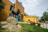 Raven Inn Whitehorse