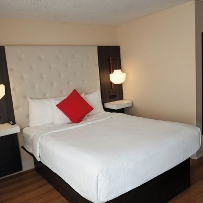 Standard Queen Room With Sofa Bed Tiki Resort Promo Code
