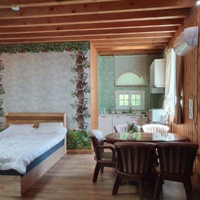 룸 102 Inje Bawisol Pension 쿠폰