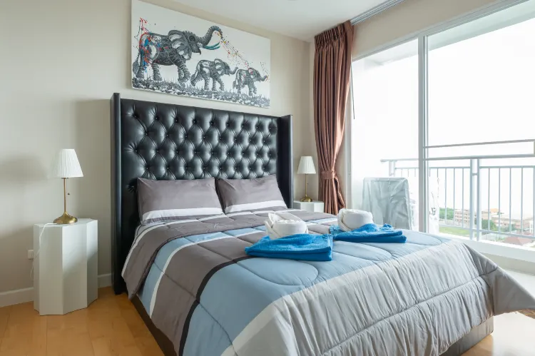 Condo, Entire House or Apartment