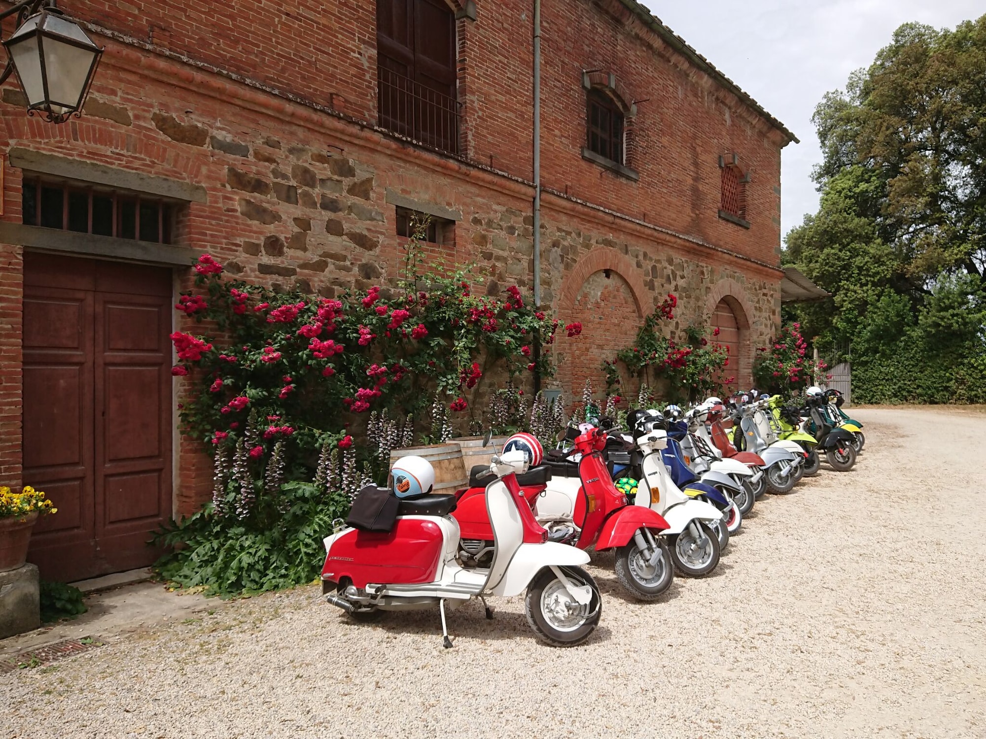 1卧室公寓 - 带庭院 - 可吸烟