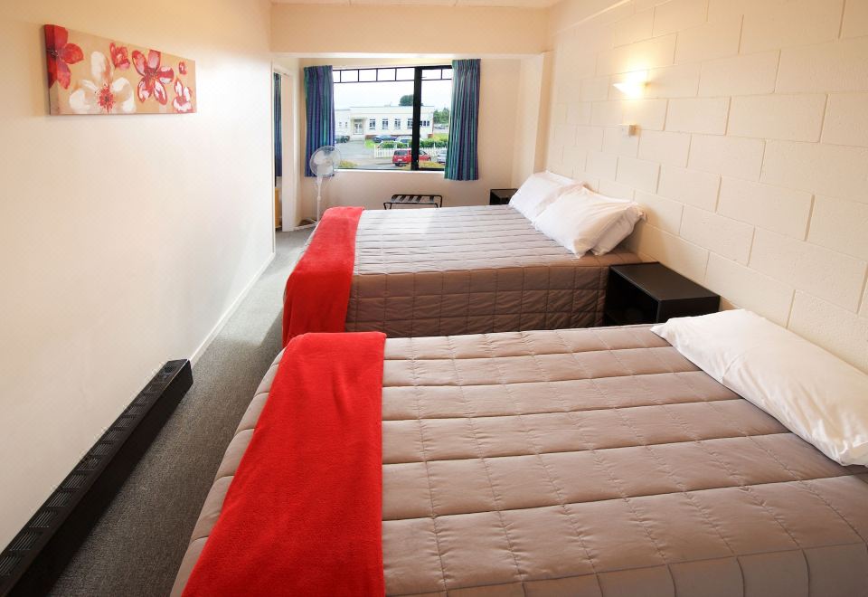 标准一卧室公寓