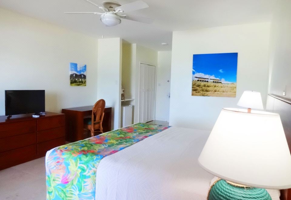 高级房， 海洋景观， 临海