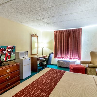 Accessible Deluxe King Room