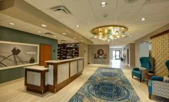 Hampton Inn and Suites by Hilton Tampa Busch Gardens Area