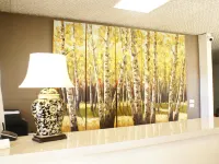 Country Lodge Motor Inn