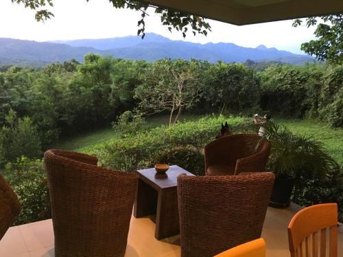 双人或双床间 - 带露台