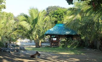Natsuca Beach Resort - Housity