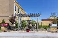 Comfort Suites and Conference Center Hotels in 