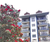FLORET RESORT LACHUNG Hotel di 