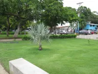 The Palms at Coco Beach Отели в г. 