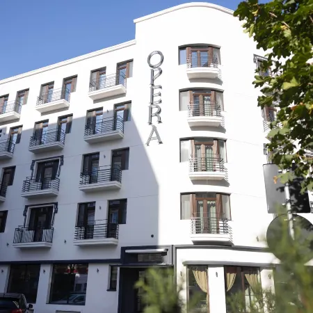 Opera Hotel Отели в г. Тимишоара