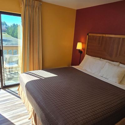 Executive Suite-No Pets Olympic View Inn Promo Code