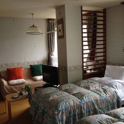 Western-Style Twin Room[with Bath and Toilet, Free Wi-Fi][Standard][Twin Room][Non-Smoking][Mountain View]