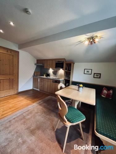 大型一卧室公寓