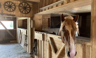 a horse is standing in a wooden stable with a straw mat on the floor at Drexler