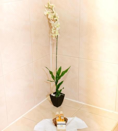 高级海景单卧室公寓