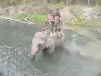 Racyshade Resort- Bardia National Park Hotels in Bardia